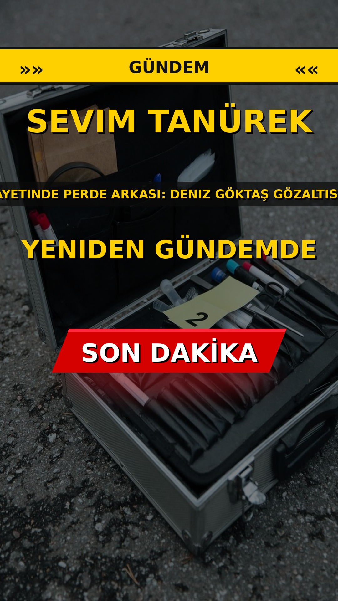 Sevim Tanürek cinayetinde perde arkası: Deniz Göktaş gözaltısıyla yeniden gündemde