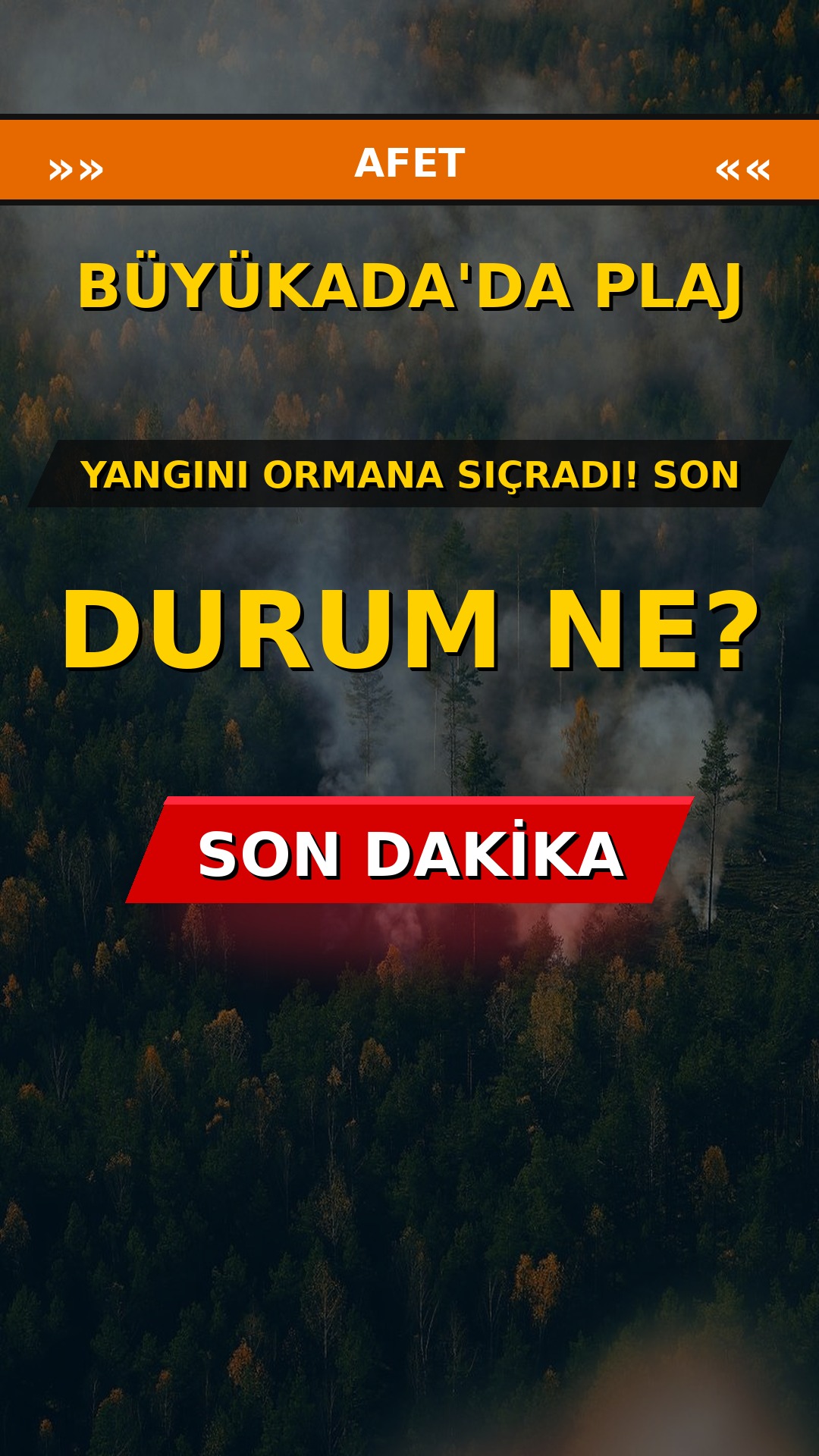 Büyükada'da Plaj Yangını Ormana Sıçradı! Son Durum Ne?